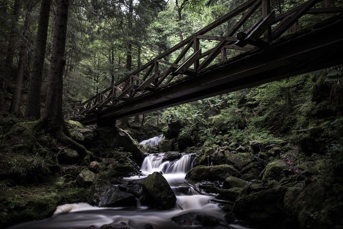 Black Forest (Schwarzwald)